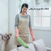 شغاله بالاسبوع بالرياض